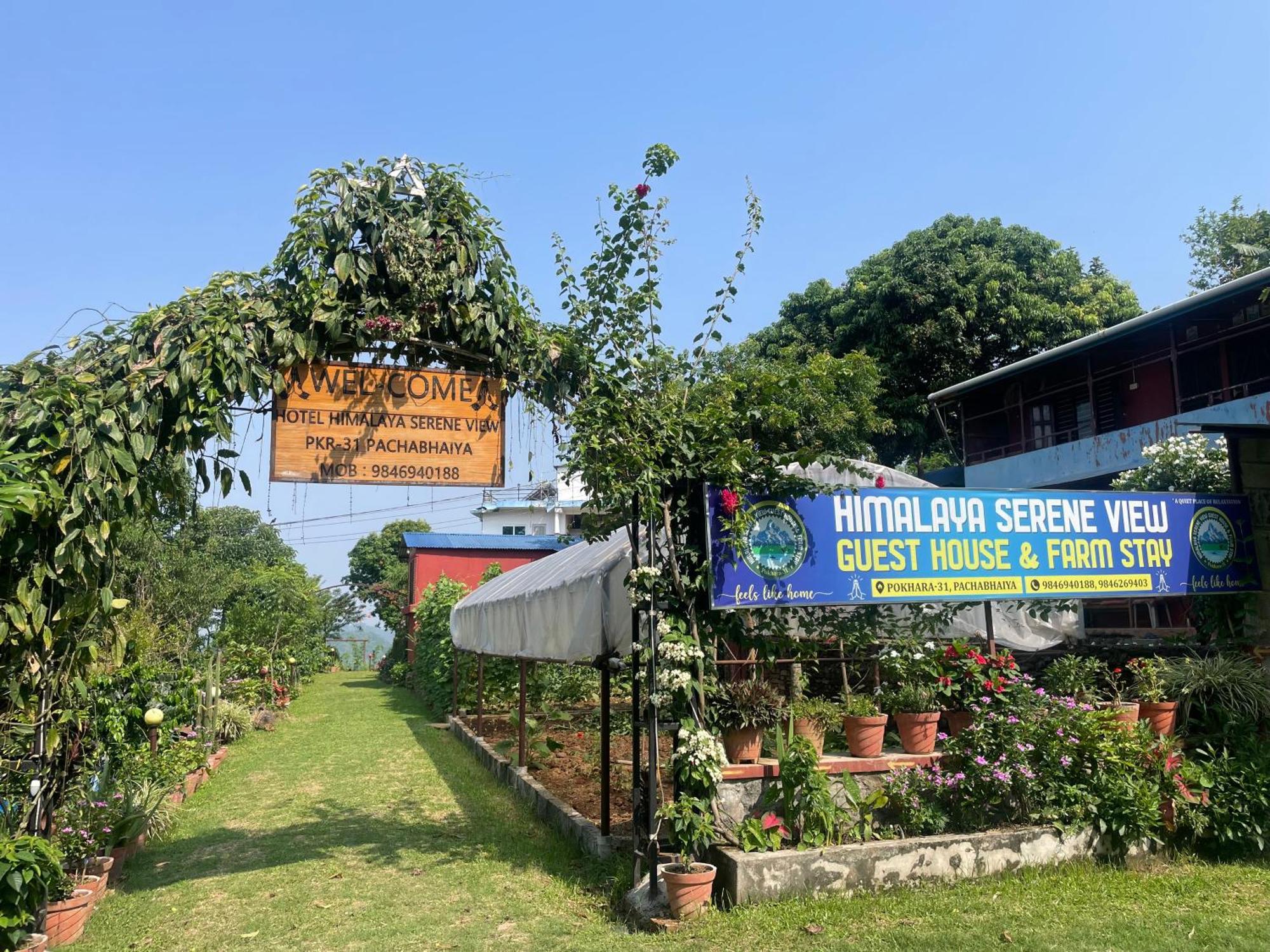 Himalaya Serene View Guest House & Farm Stay Deorāli Eksteriør billede
