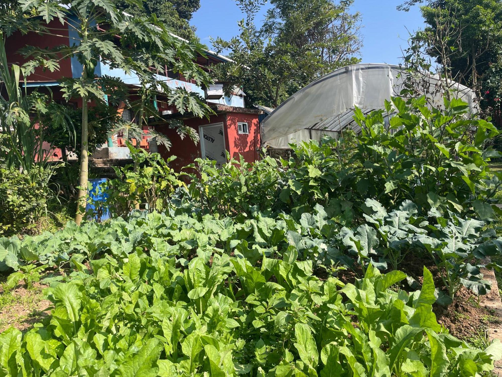 Himalaya Serene View Guest House & Farm Stay Deorāli Eksteriør billede