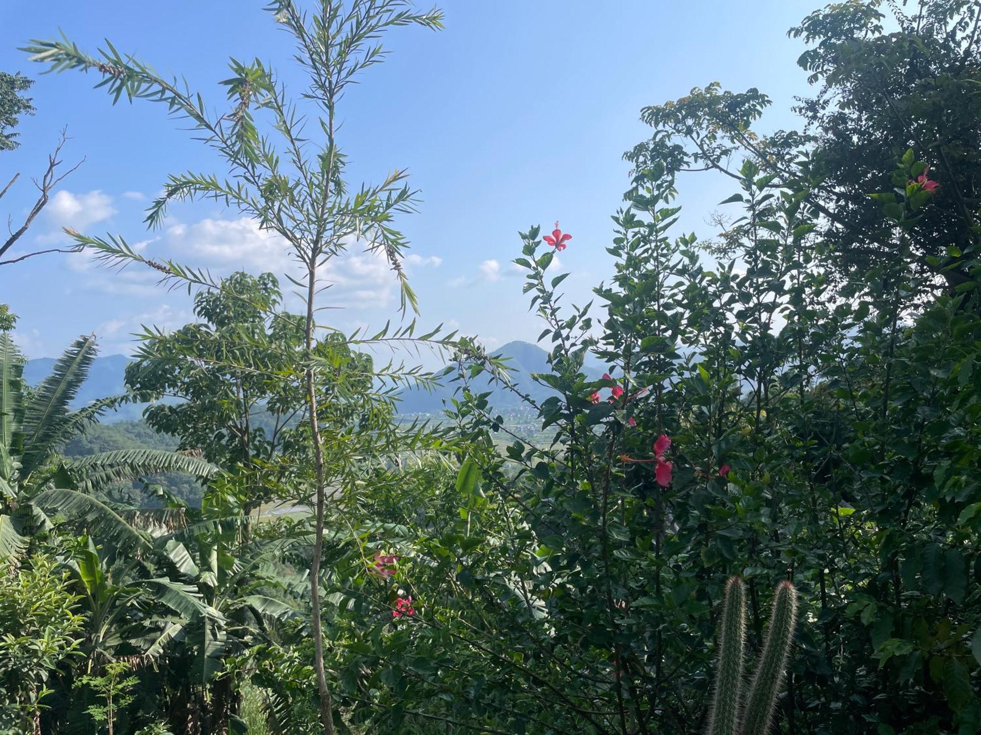 Himalaya Serene View Guest House & Farm Stay Deorāli Eksteriør billede