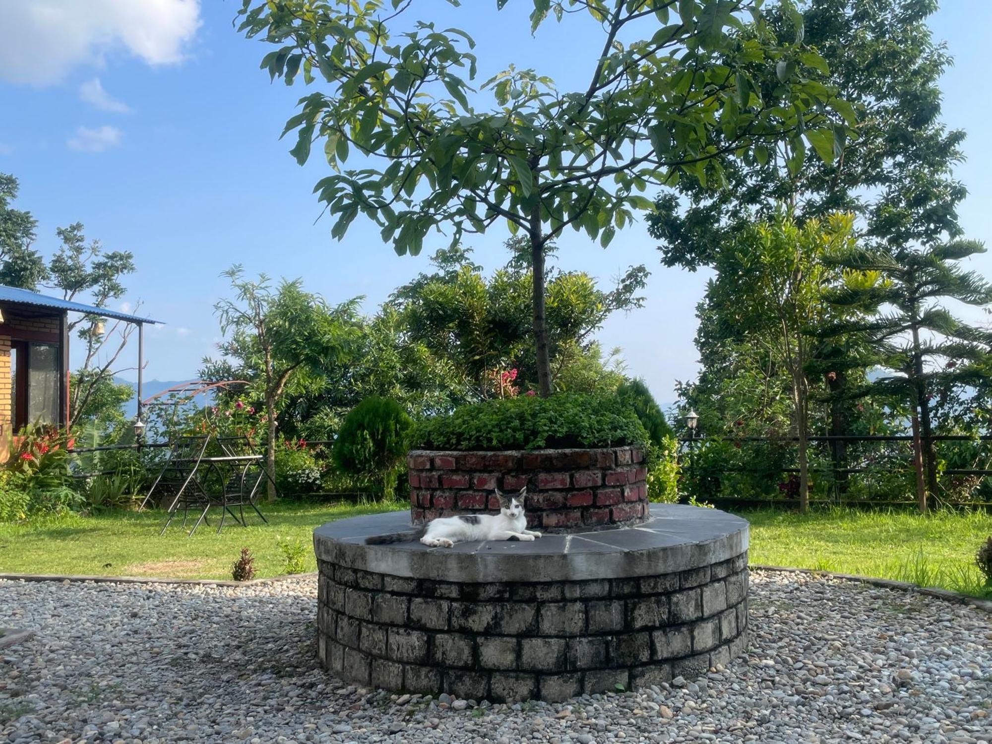 Himalaya Serene View Guest House & Farm Stay Deorāli Eksteriør billede